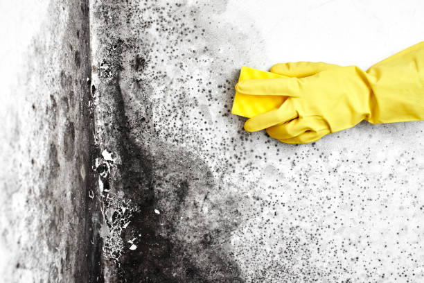 Water Damage Restoration in Cleary, MS
