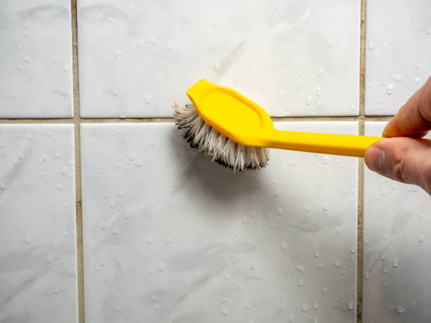 Best Mold Cleaning Services  in Cleary, MS