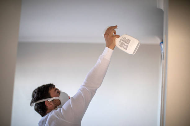 Best Water Damage Restoration  in Cleary, MS