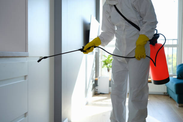 Best Home Mold Removal  in Cleary, MS